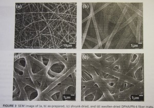 enlarged fiber images