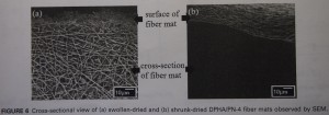 SEM cross section image