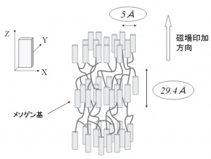 liquid_crystal_aligment